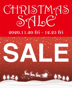 11.11_2020-wintersale1